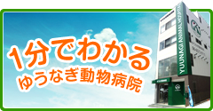 1分でわかるゆうなぎ動物病院