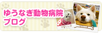 ゆうなぎ動物病院ブログ