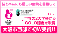猫ちゃんにも優しい病院を目指して。大阪市西部で初の2大学会からGOLD認定を取得いたしました！
