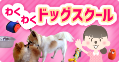わくわく ドッグスクール