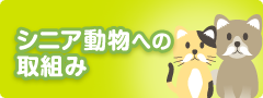 シニア動物への取組み