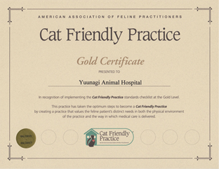 AAFP（全米猫獣医師協会）