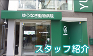スタッフ紹介
