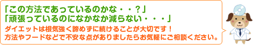 「この方法であっているのかな・・？」「頑張っているのになかなか減らない・・・」ダイエットは根気強く諦めずに続けることが大切です！方法やフードなどで不安な点がありましたらお気軽にご相談ください。