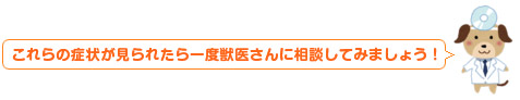 などの症状が見られたら一度獣医さんに相談してみましょう！