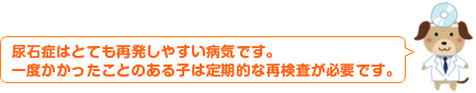 尿石症はとても再発しやすい病気です。一度かかったことのある子は定期的な再検査が必要です。