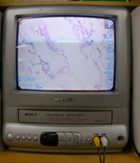 顕微鏡 写真２