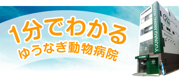 1分でわかるゆうなぎ動物病院