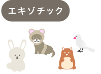 エキゾチック