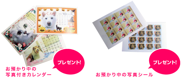 プレゼント！