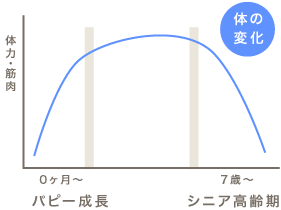 体の変化