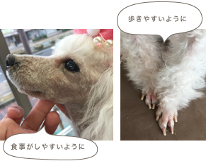 トリミングの結果